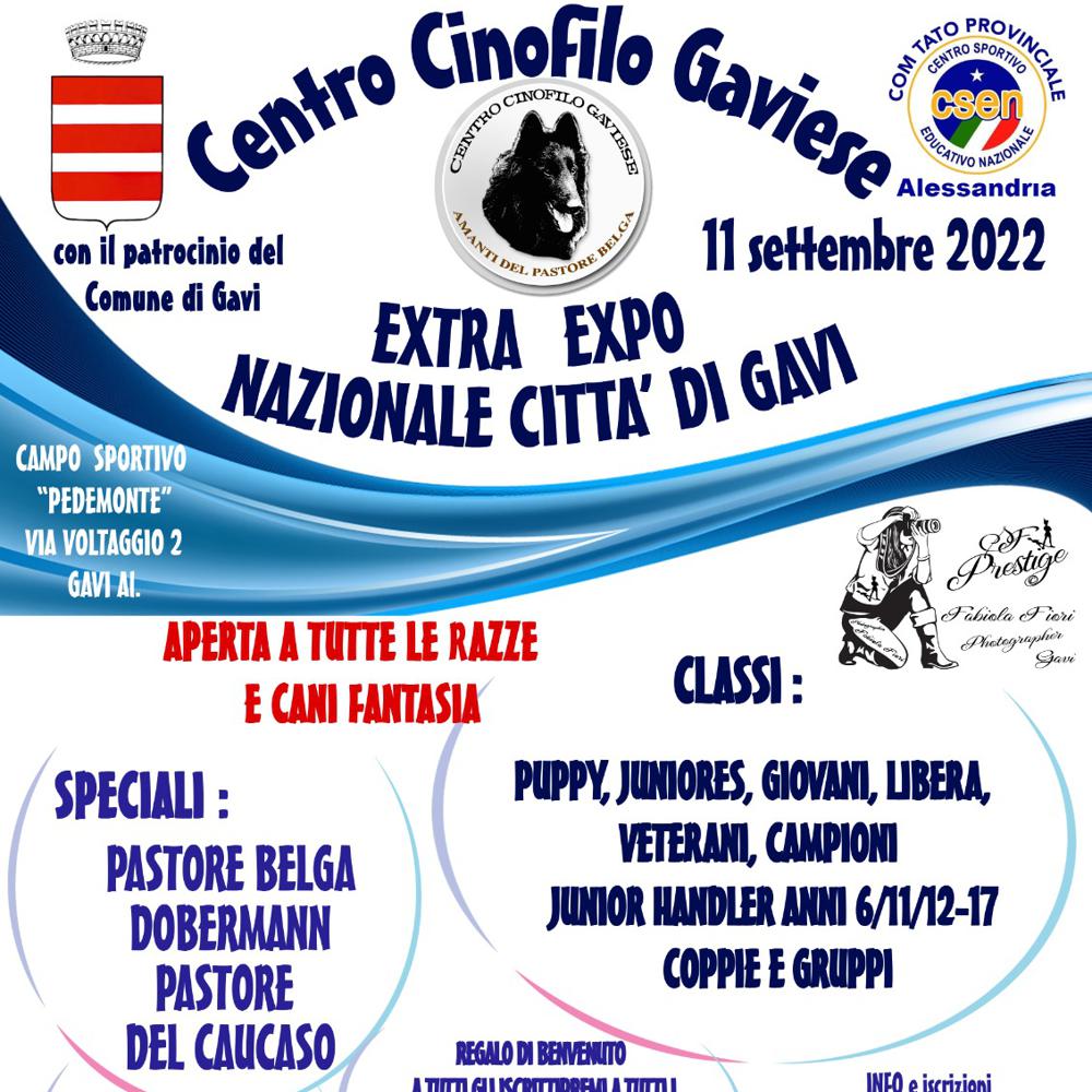 Immagine evento
