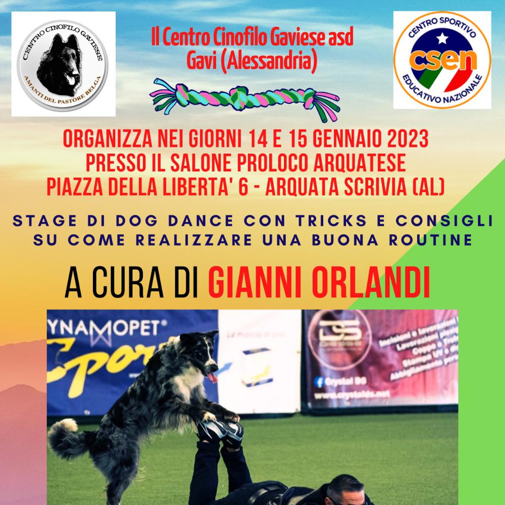 Immagine evento