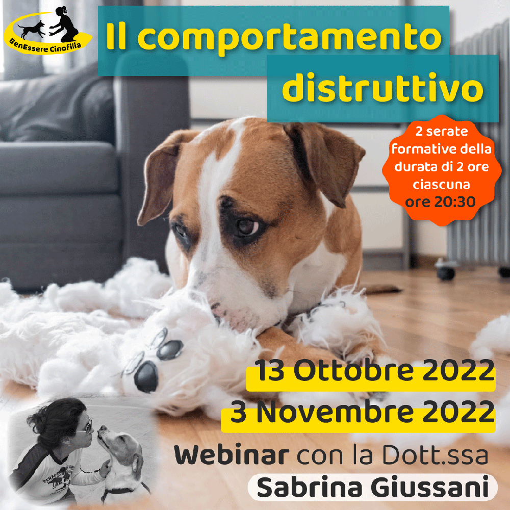 Immagine evento