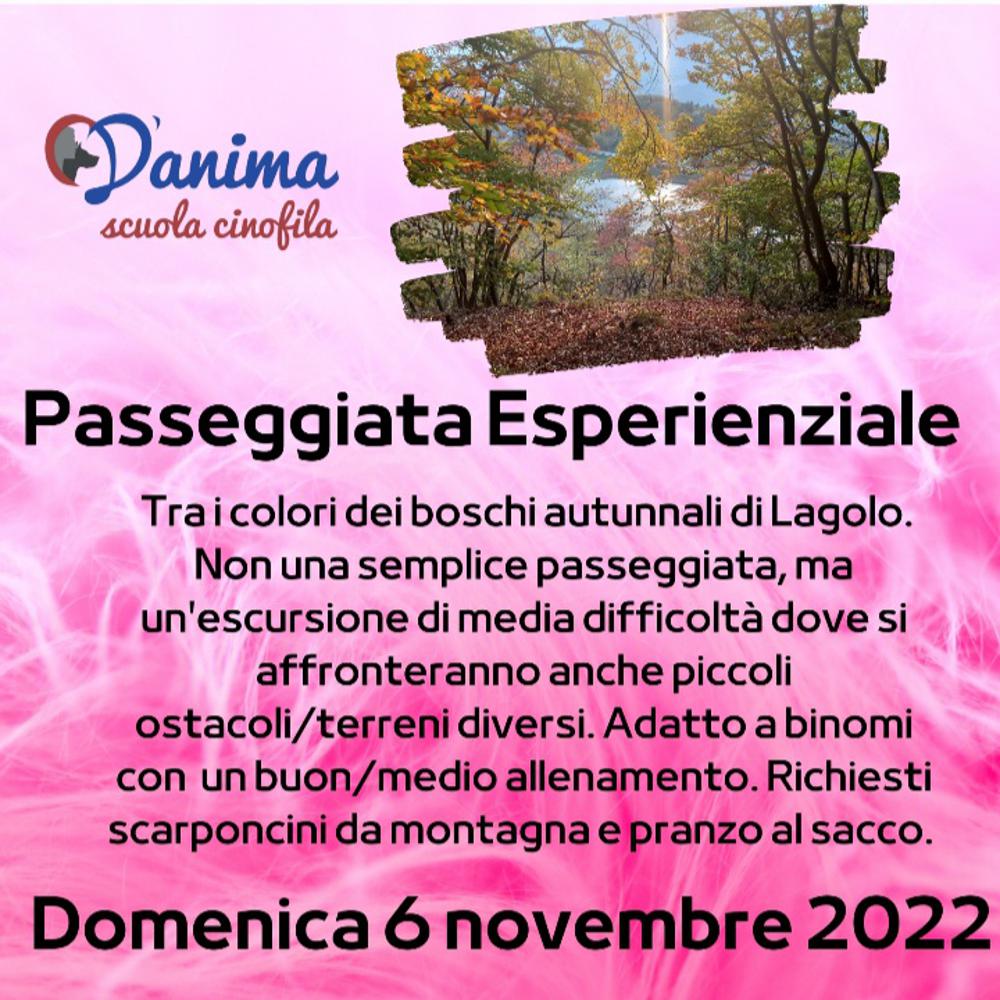 Immagine evento
