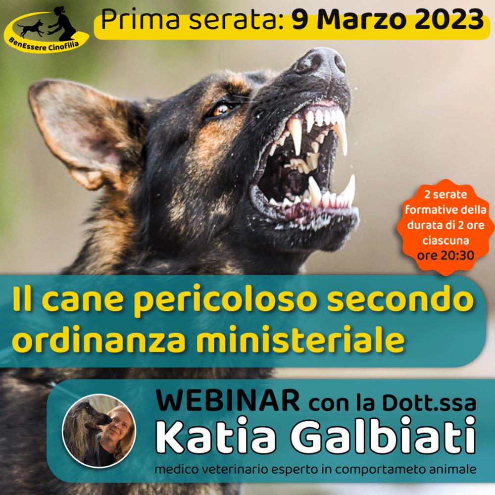 Immagine evento