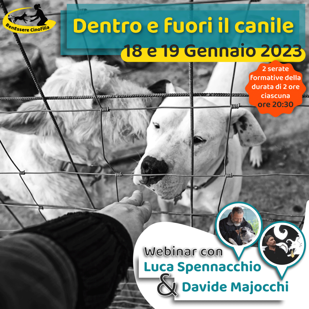 Immagine evento