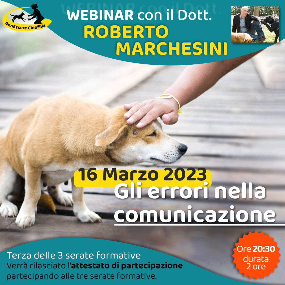 Immagine evento