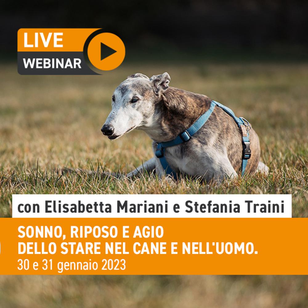 Immagine evento