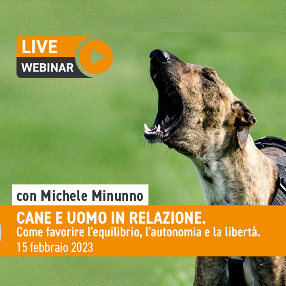 Immagine evento