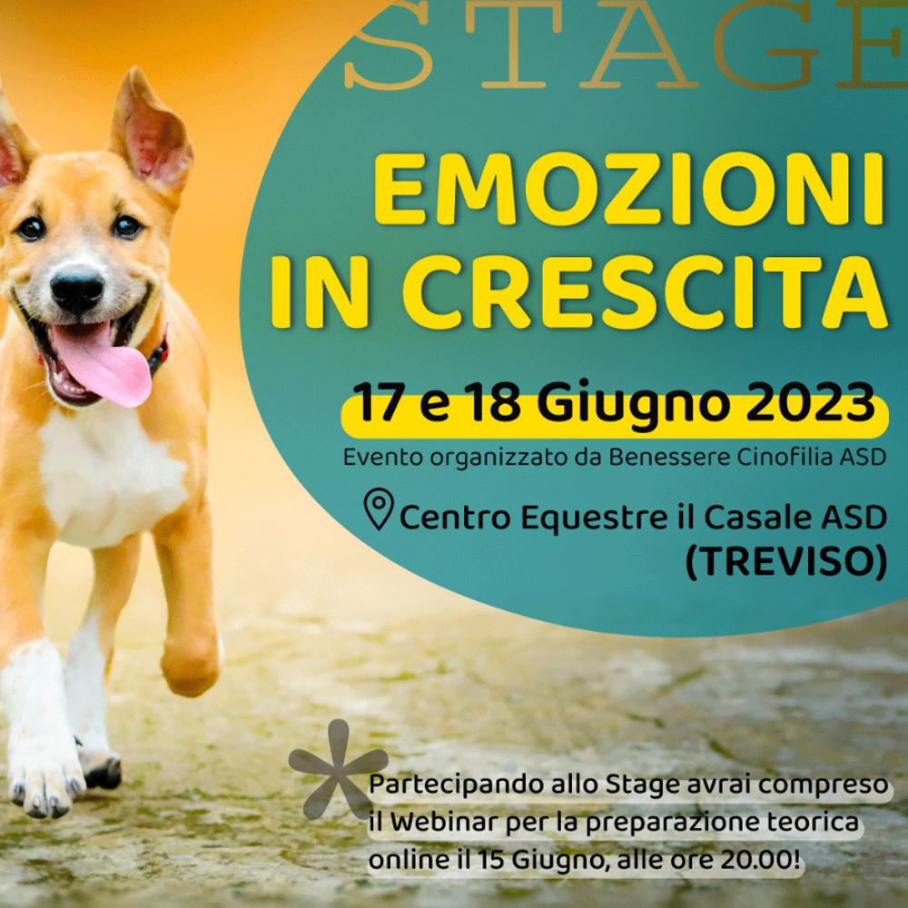 Immagine evento