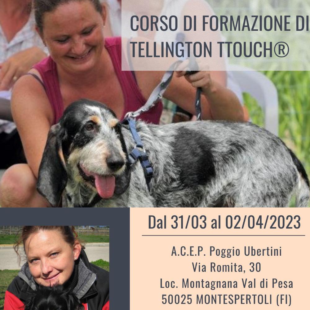 Immagine evento