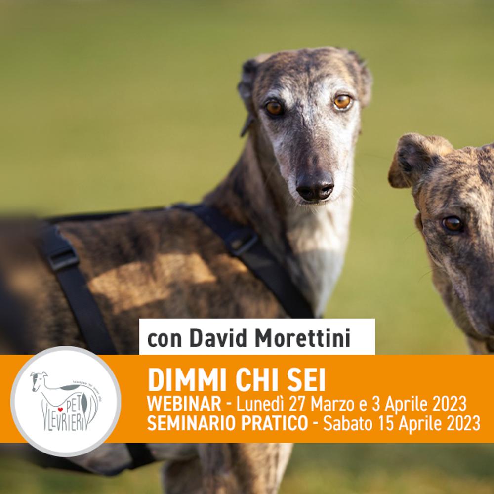 Immagine evento