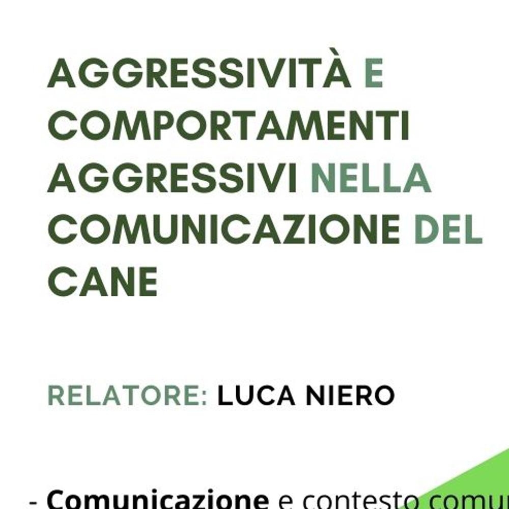 Immagine evento