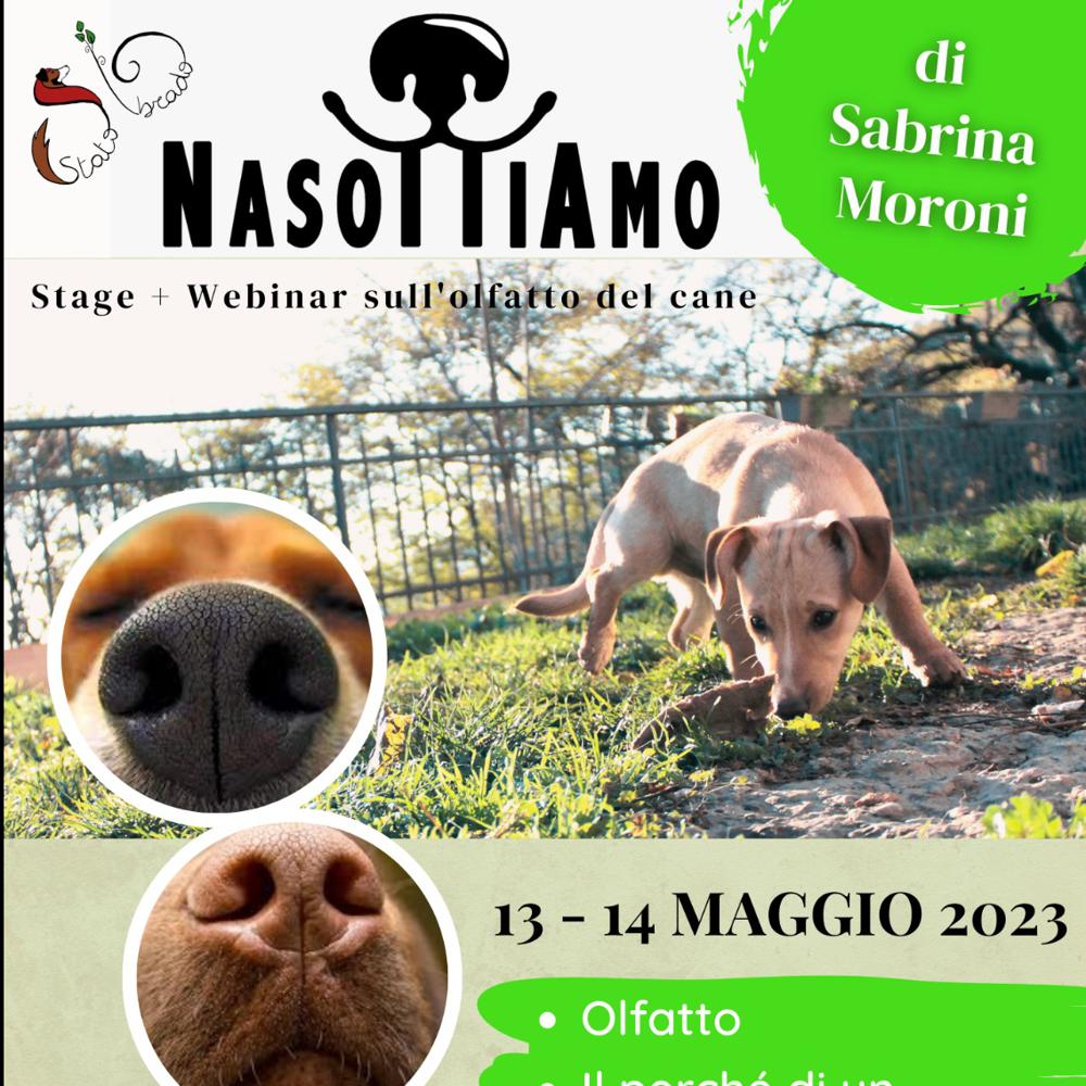 Immagine evento