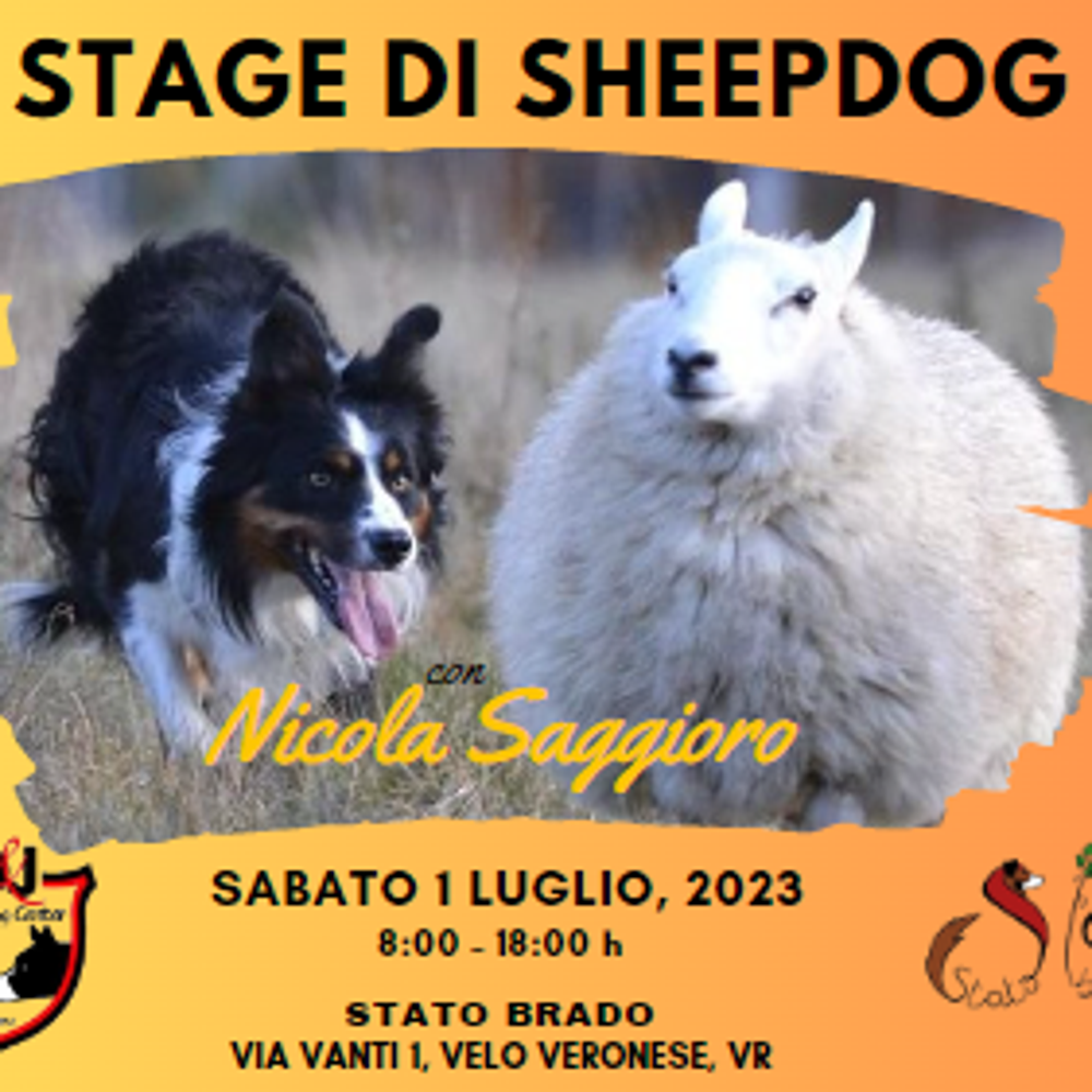 Immagine evento