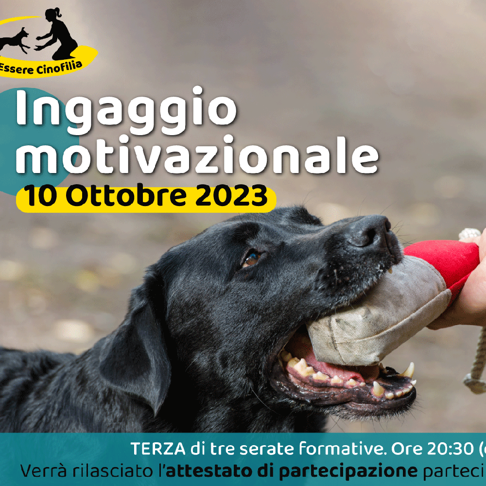 Immagine evento