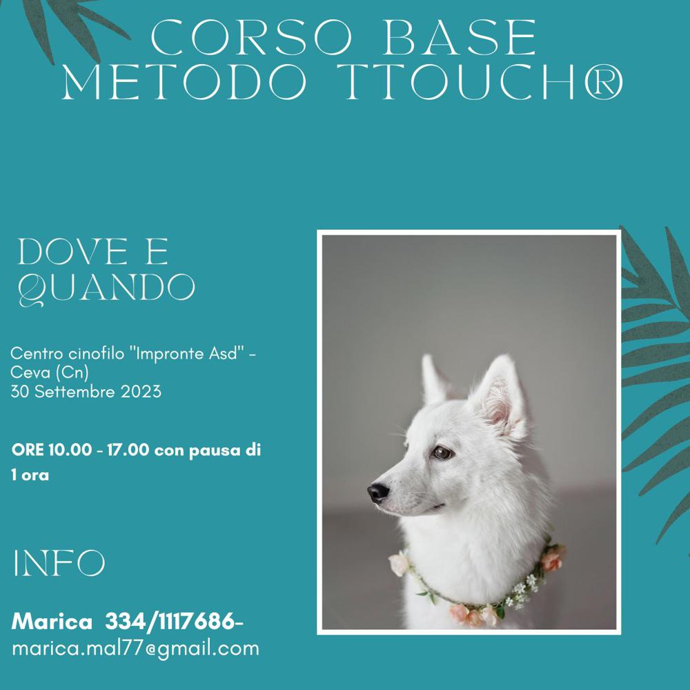Immagine evento
