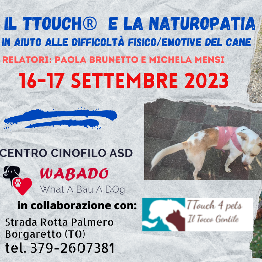 Immagine evento