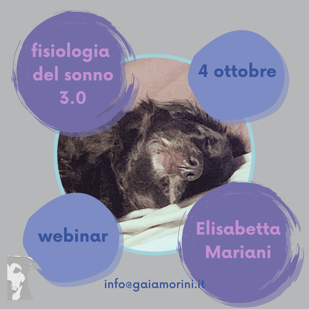 Immagine evento