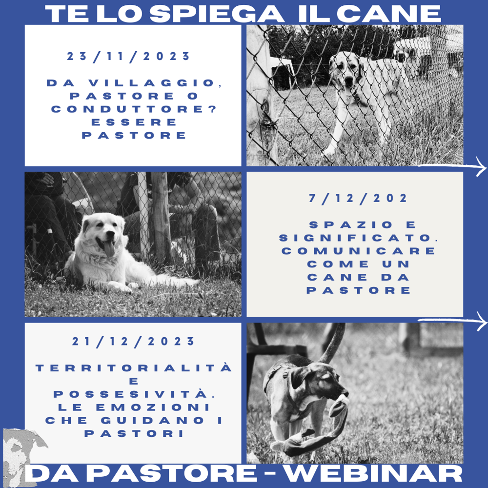 Immagine evento