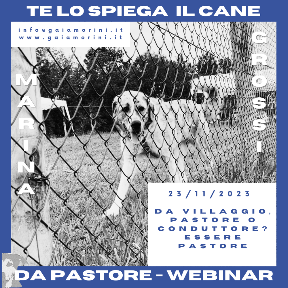 Immagine evento