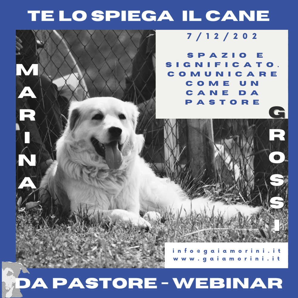 Immagine evento