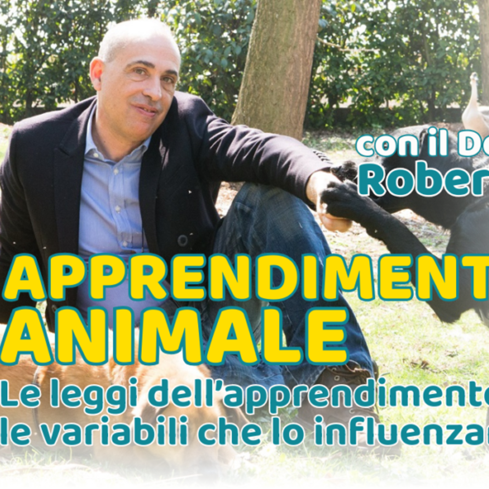 Immagine evento