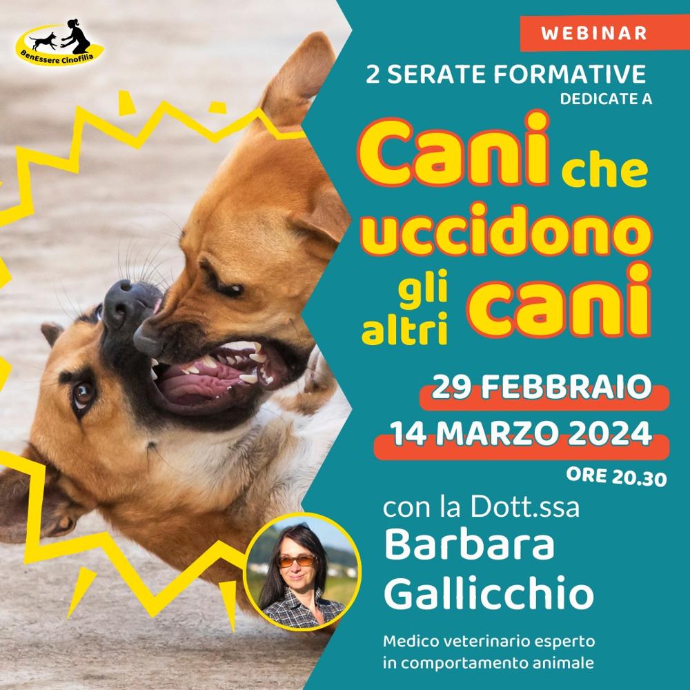 Immagine evento