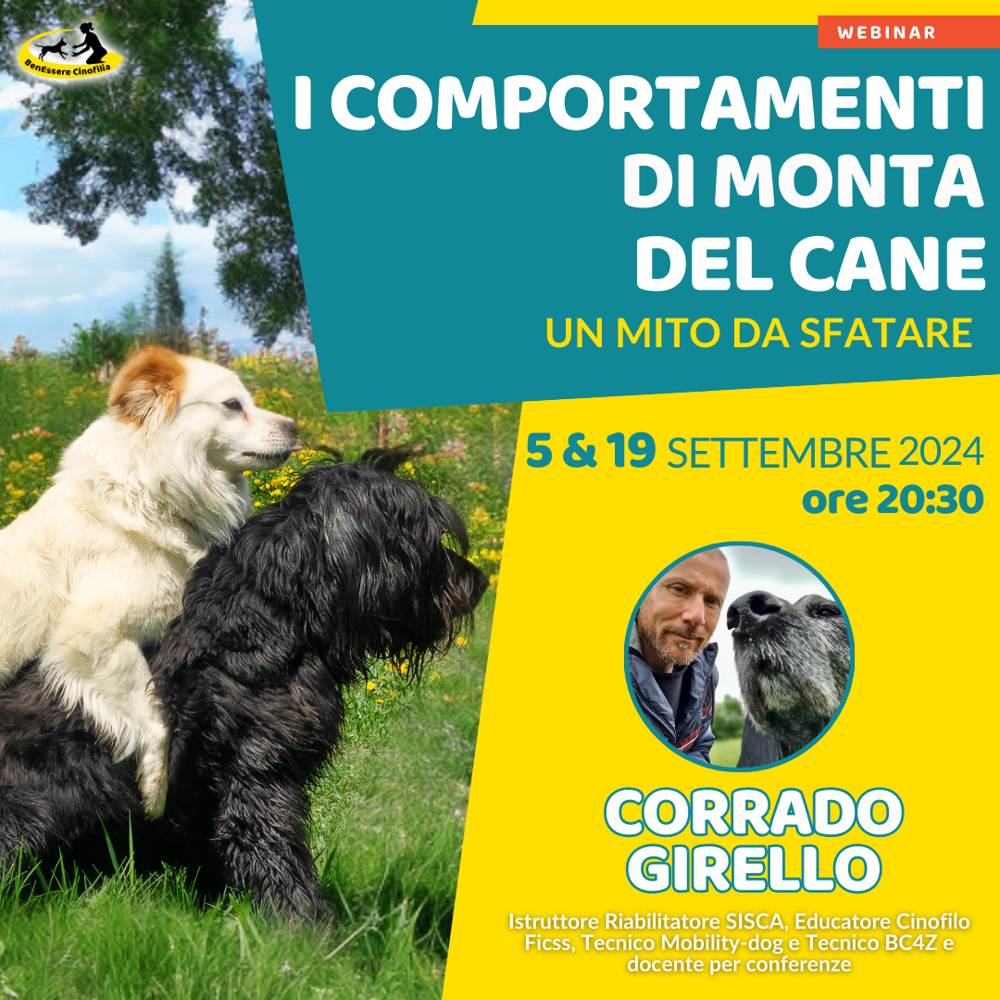 Immagine evento