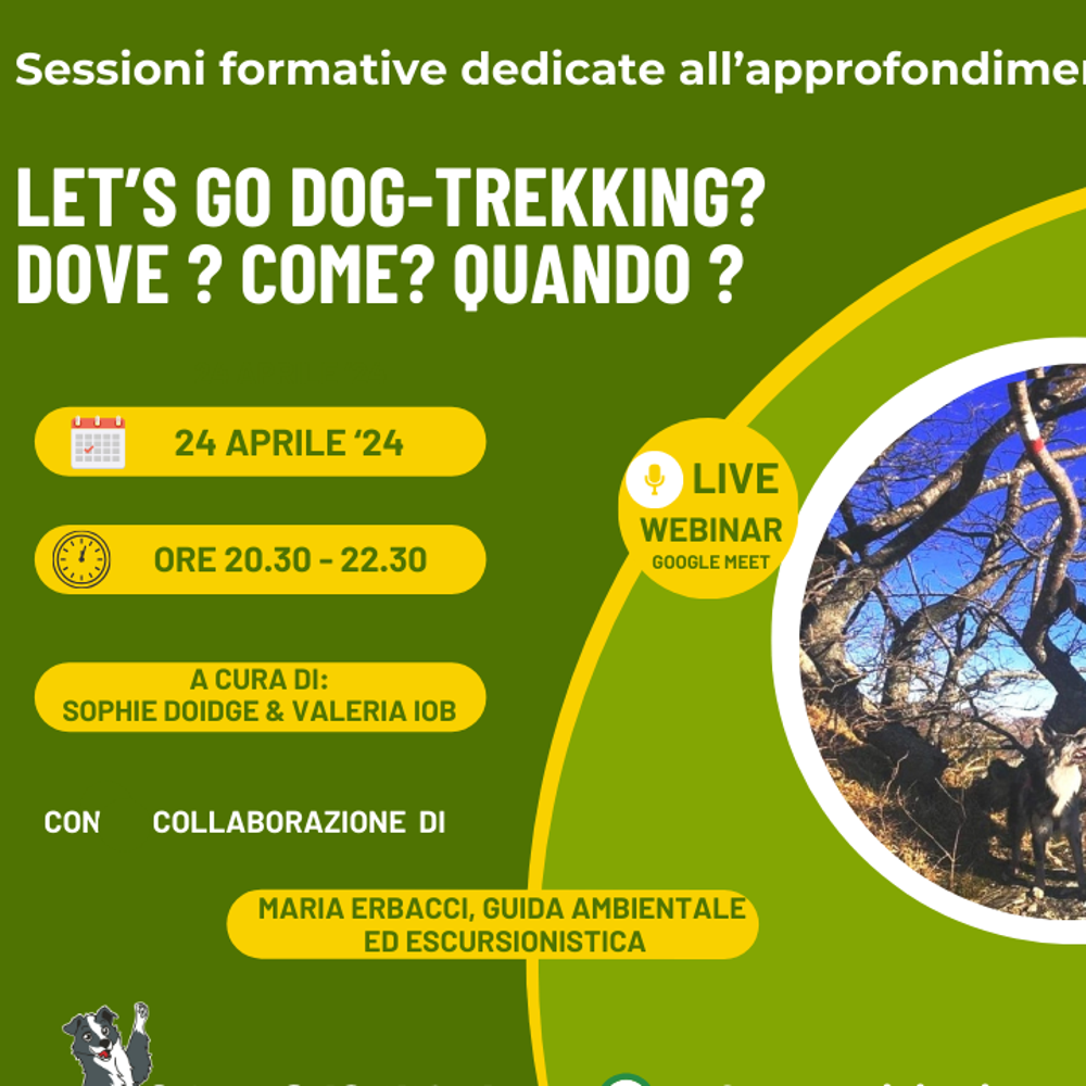Immagine evento
