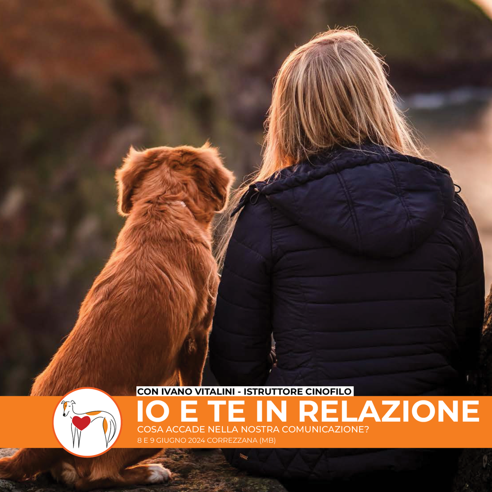 Immagine evento