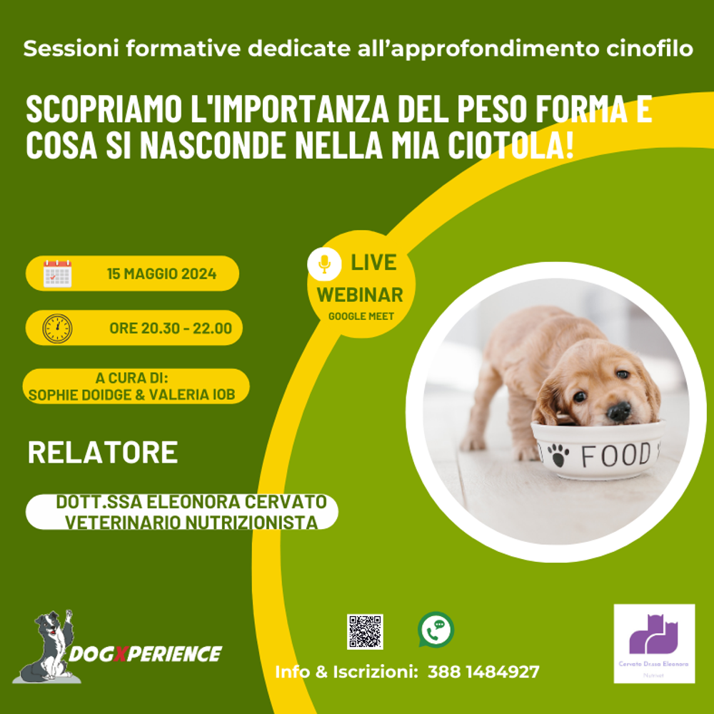 Immagine evento