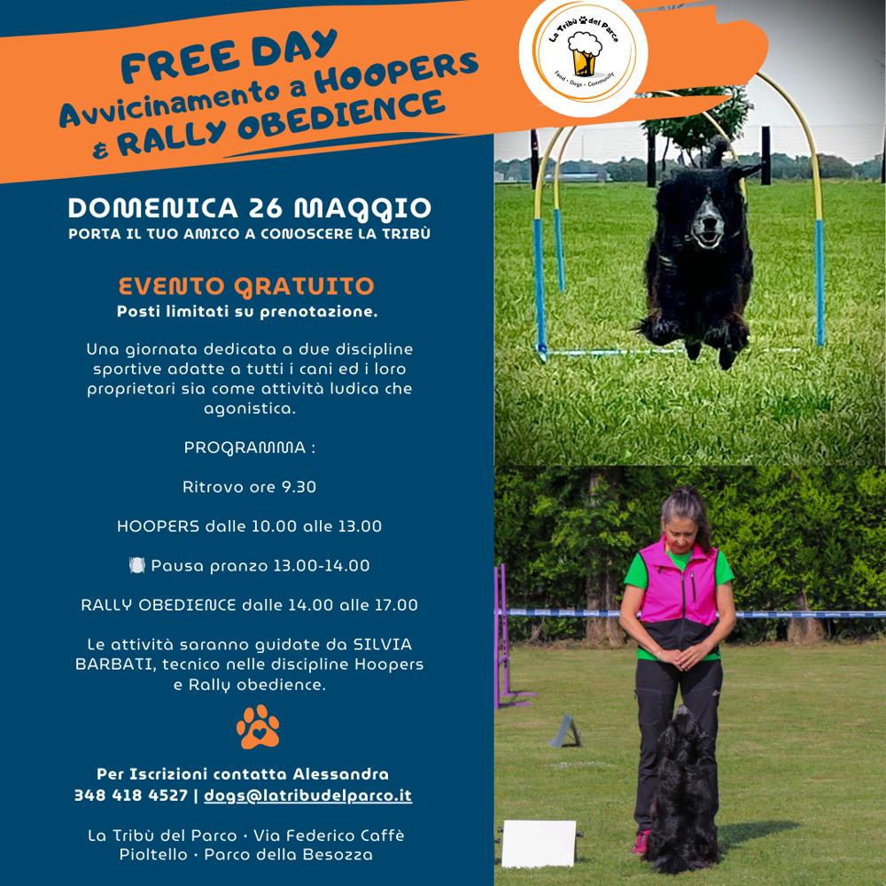 Immagine evento