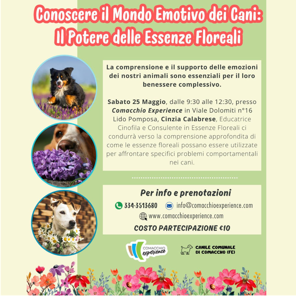 Immagine evento