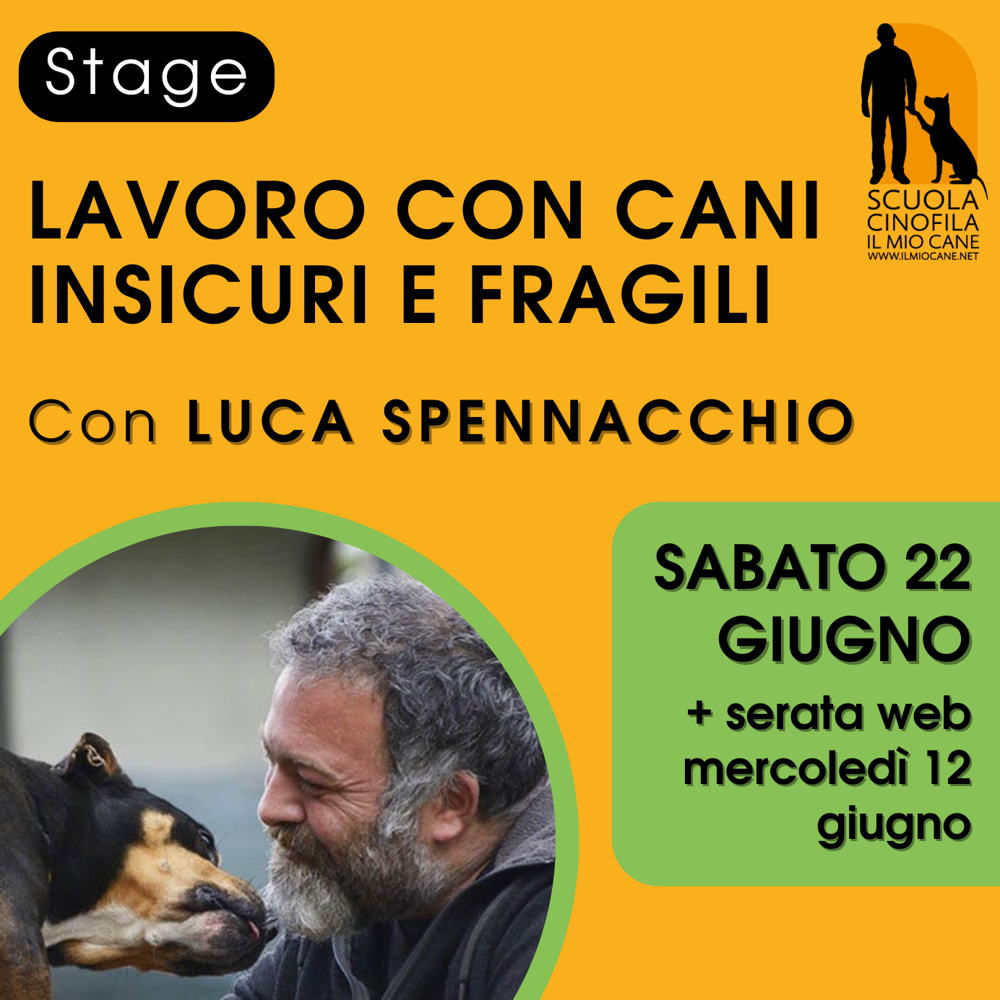 Immagine evento