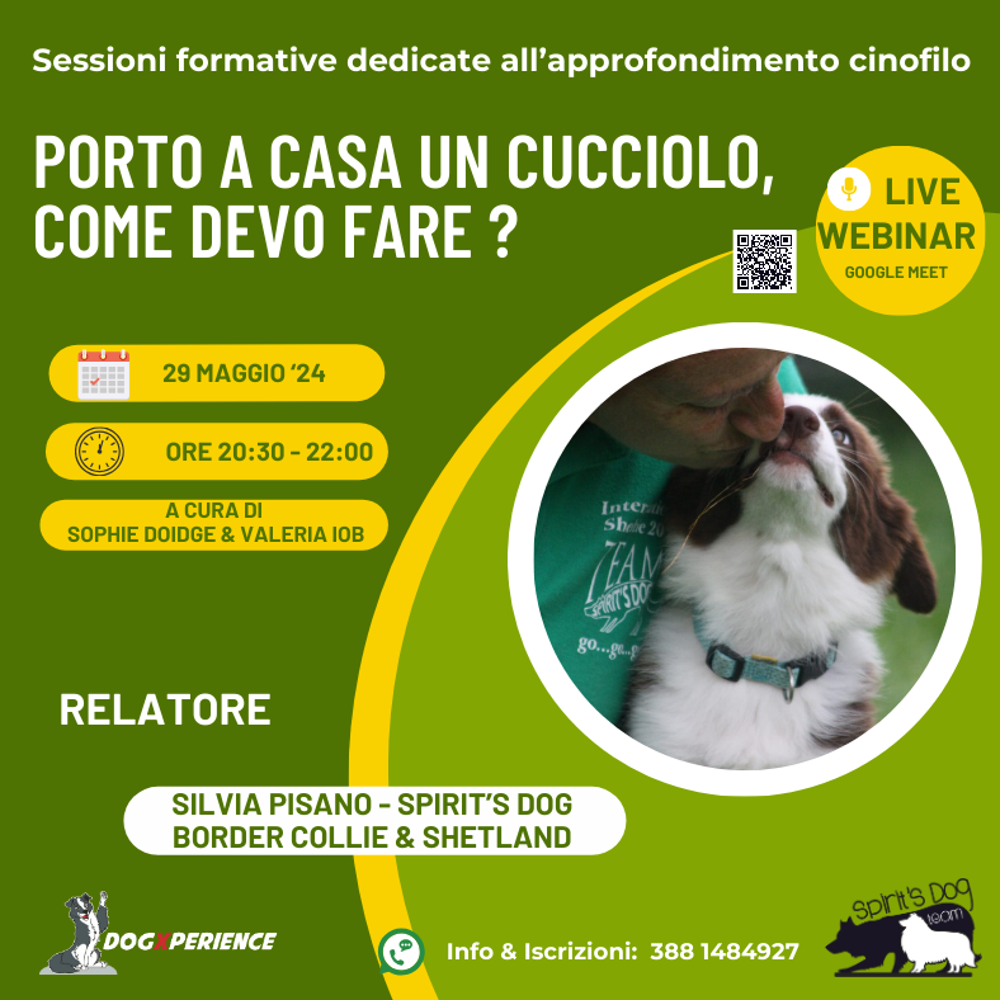 Immagine evento