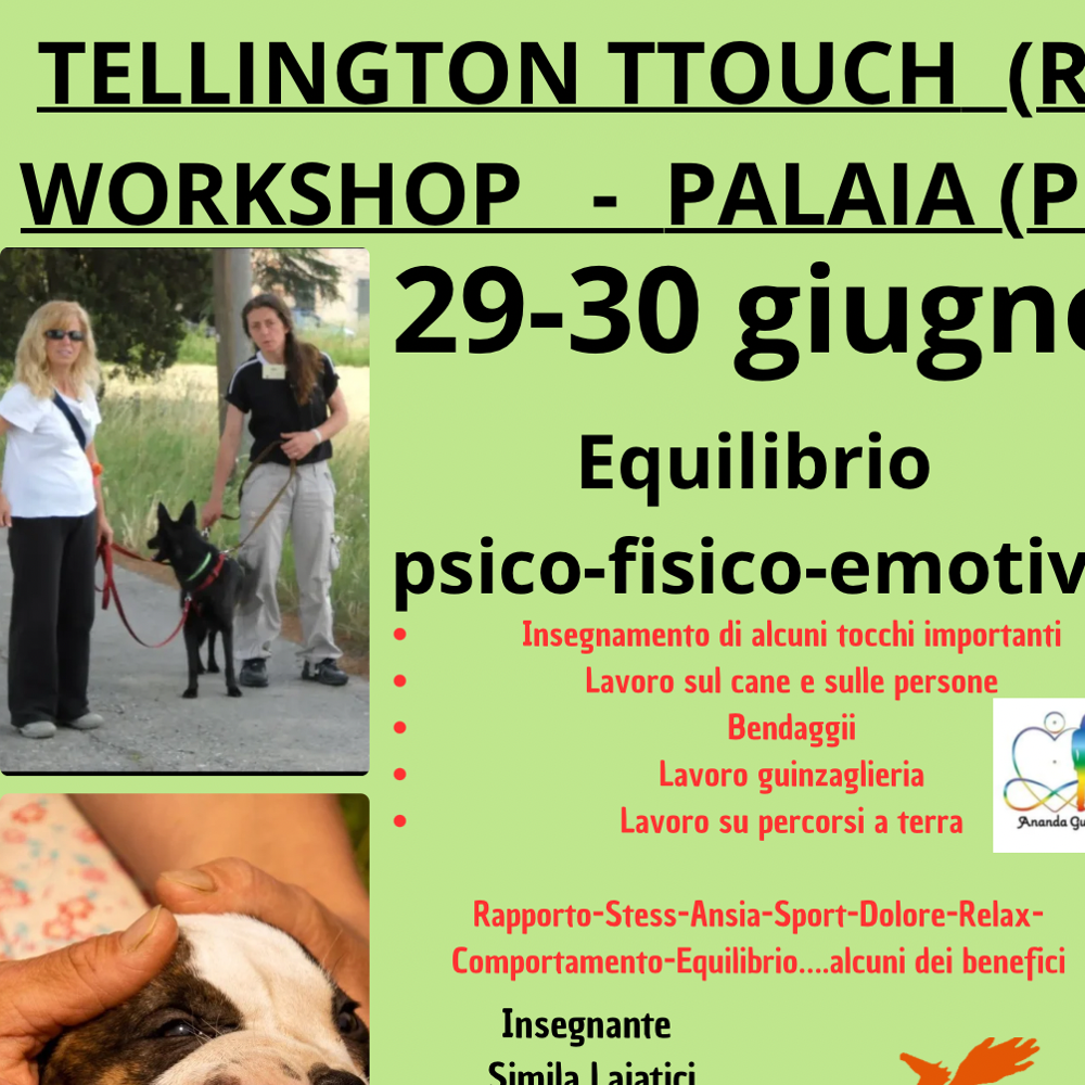 Immagine evento