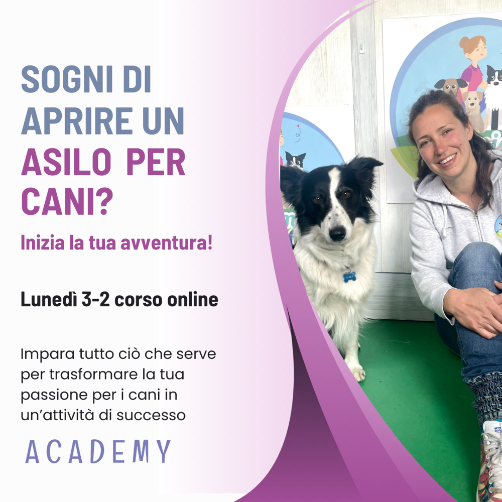 Immagine evento
