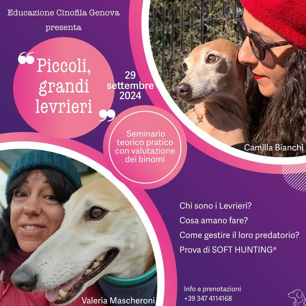 Immagine evento