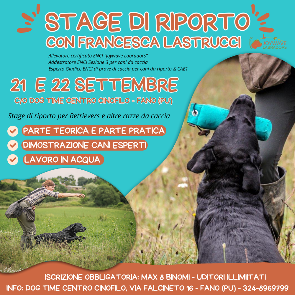 Immagine evento