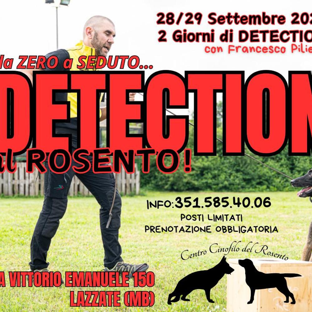 Immagine evento
