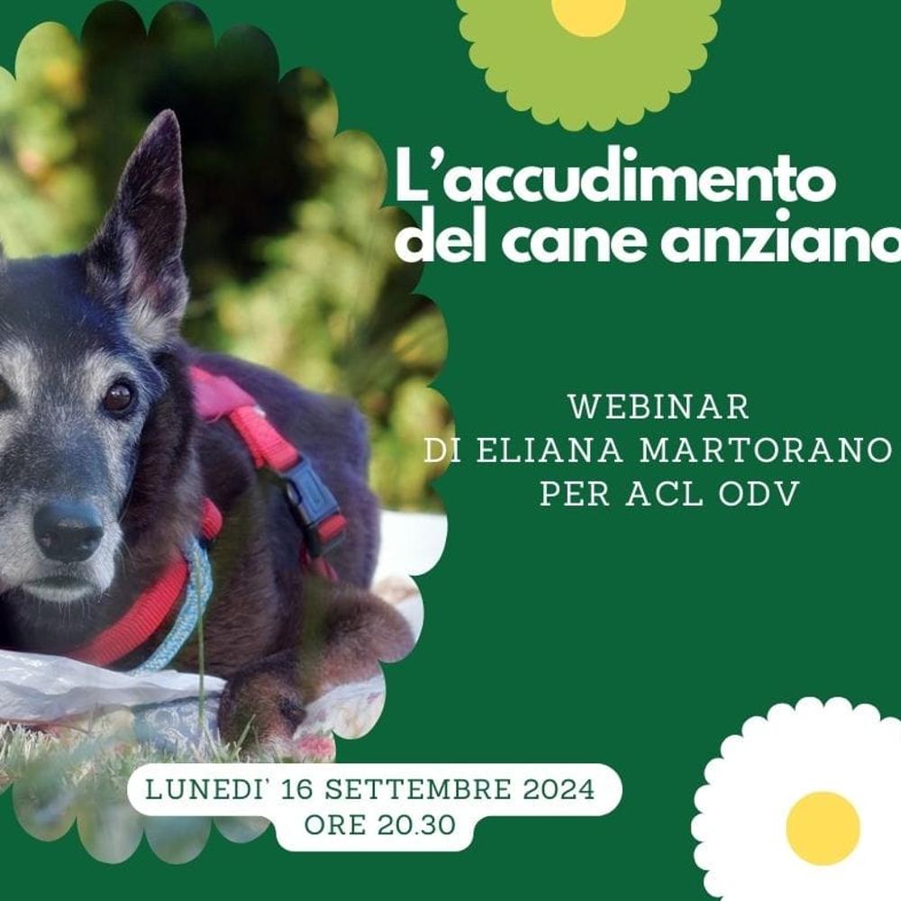 Immagine evento