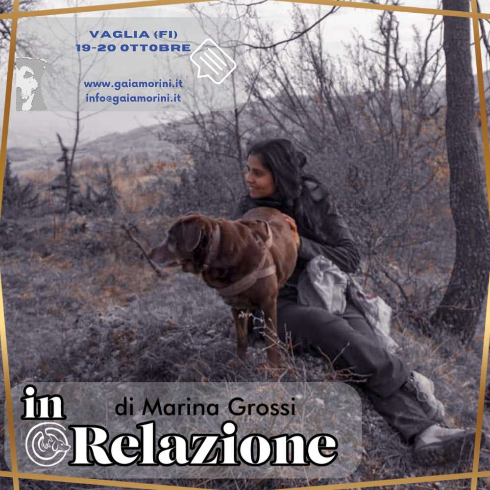 Immagine evento
