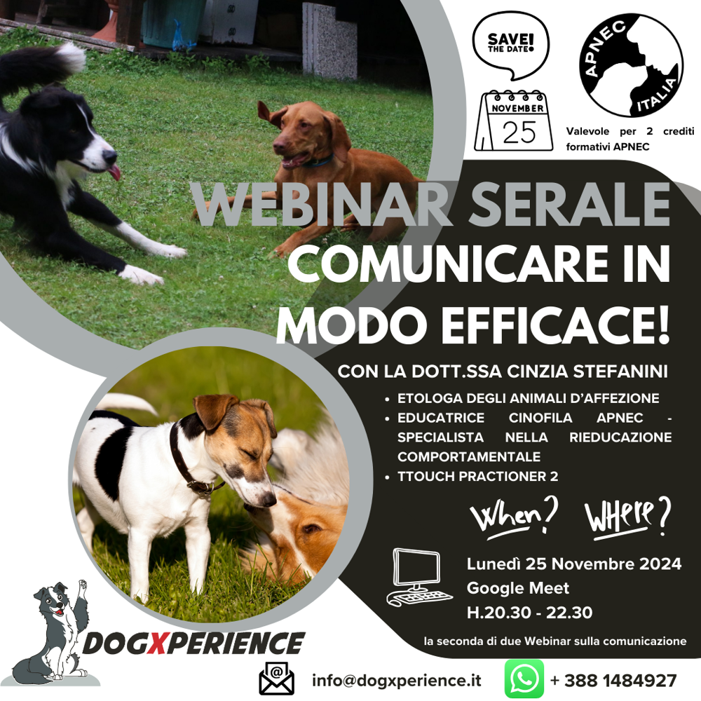 Immagine evento