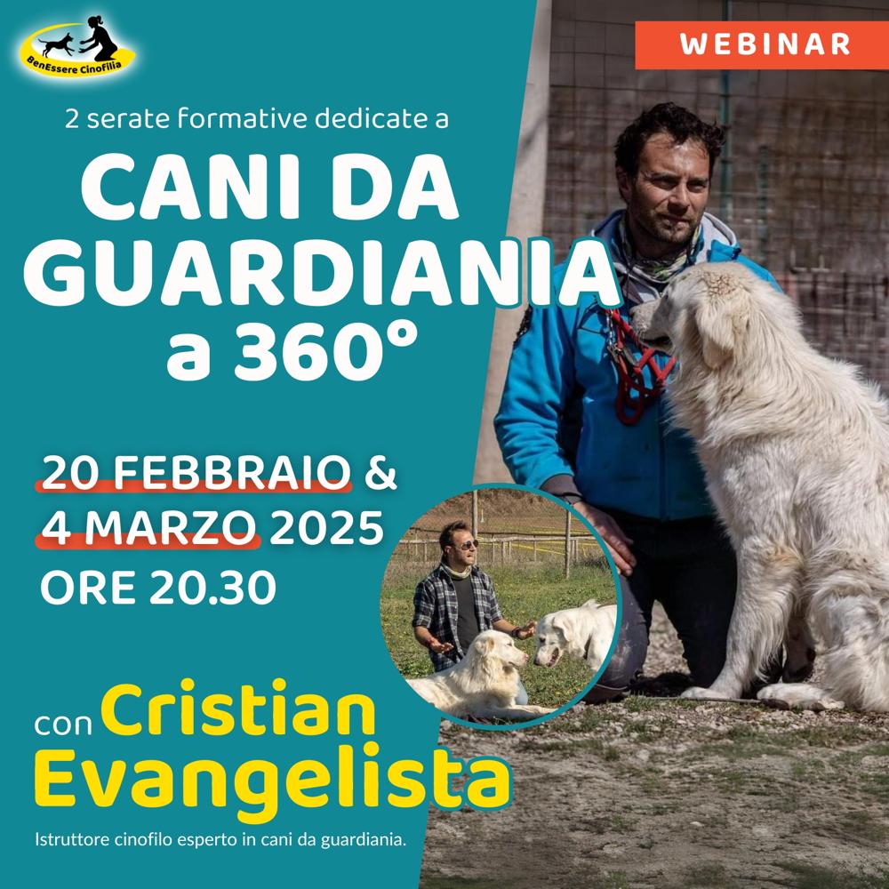 Immagine evento