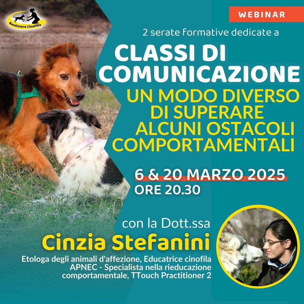 Immagine evento