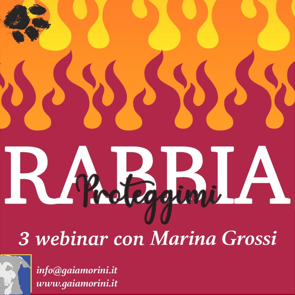 Immagine evento