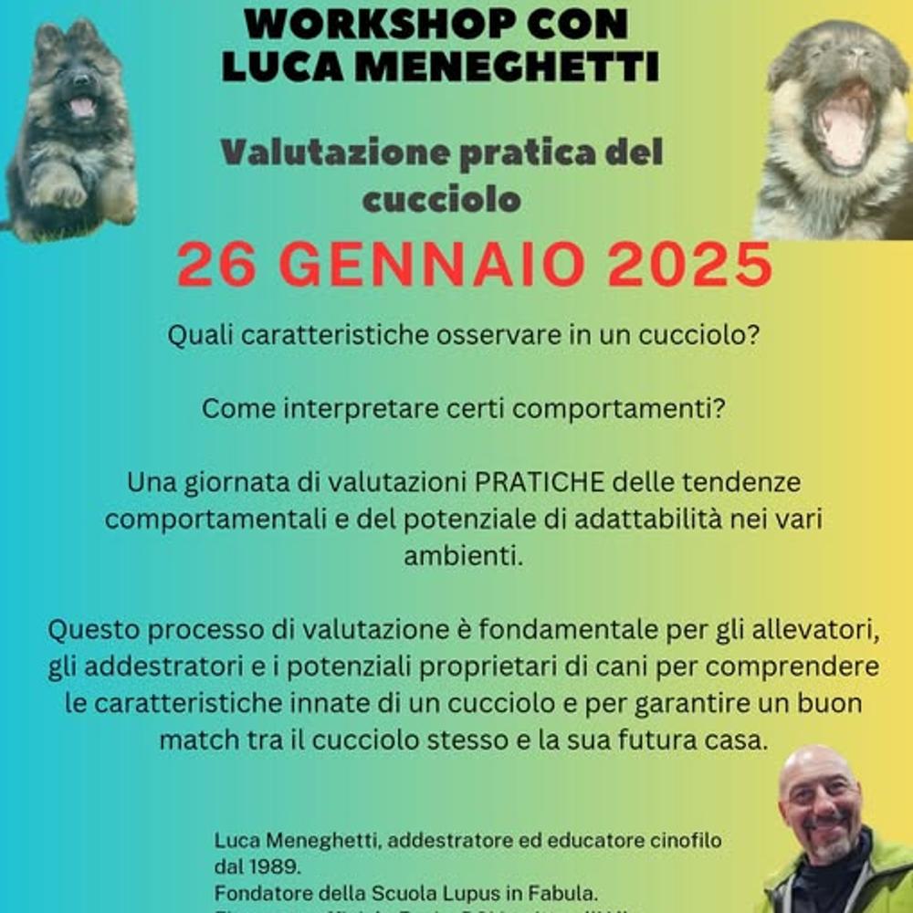 Immagine evento