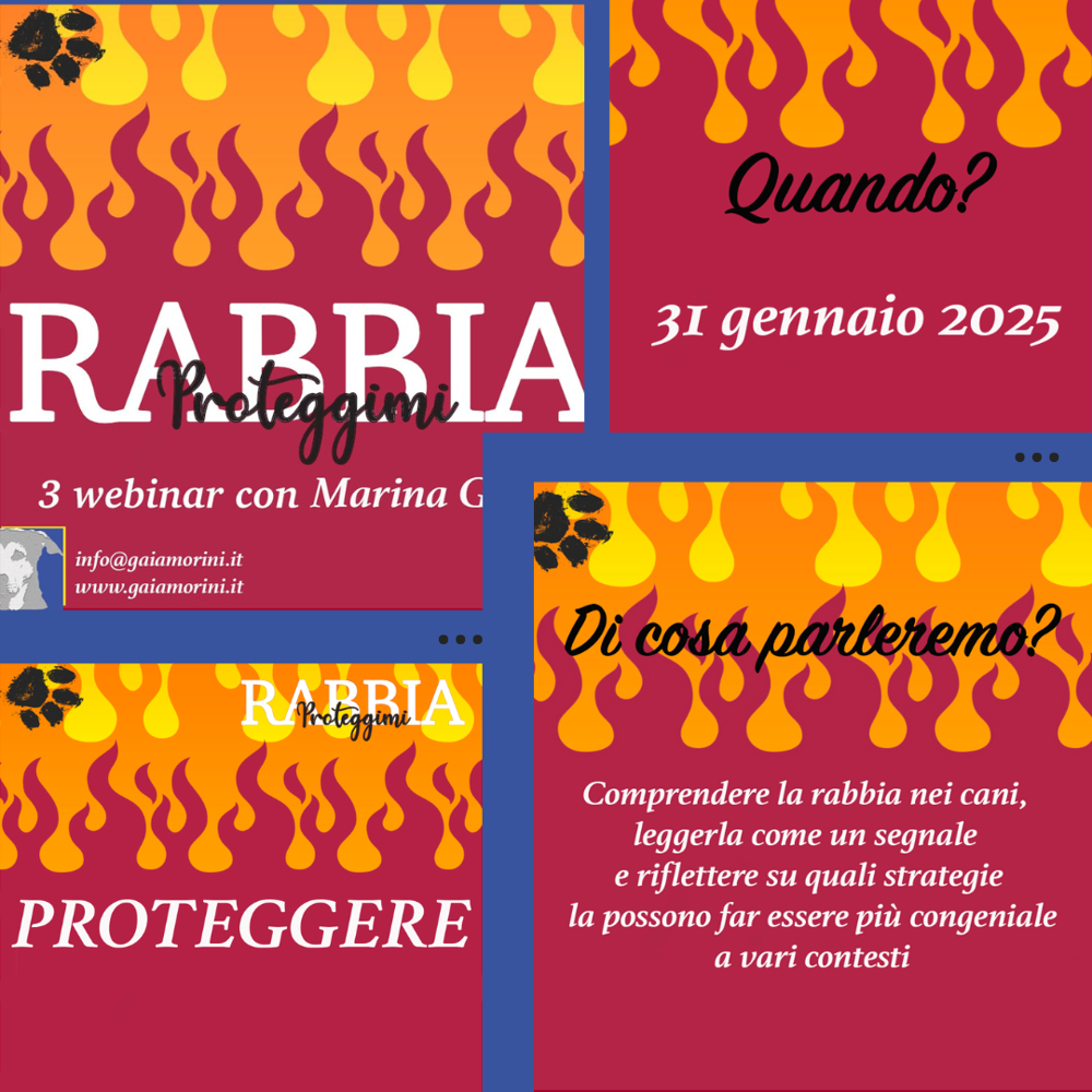 Immagine evento