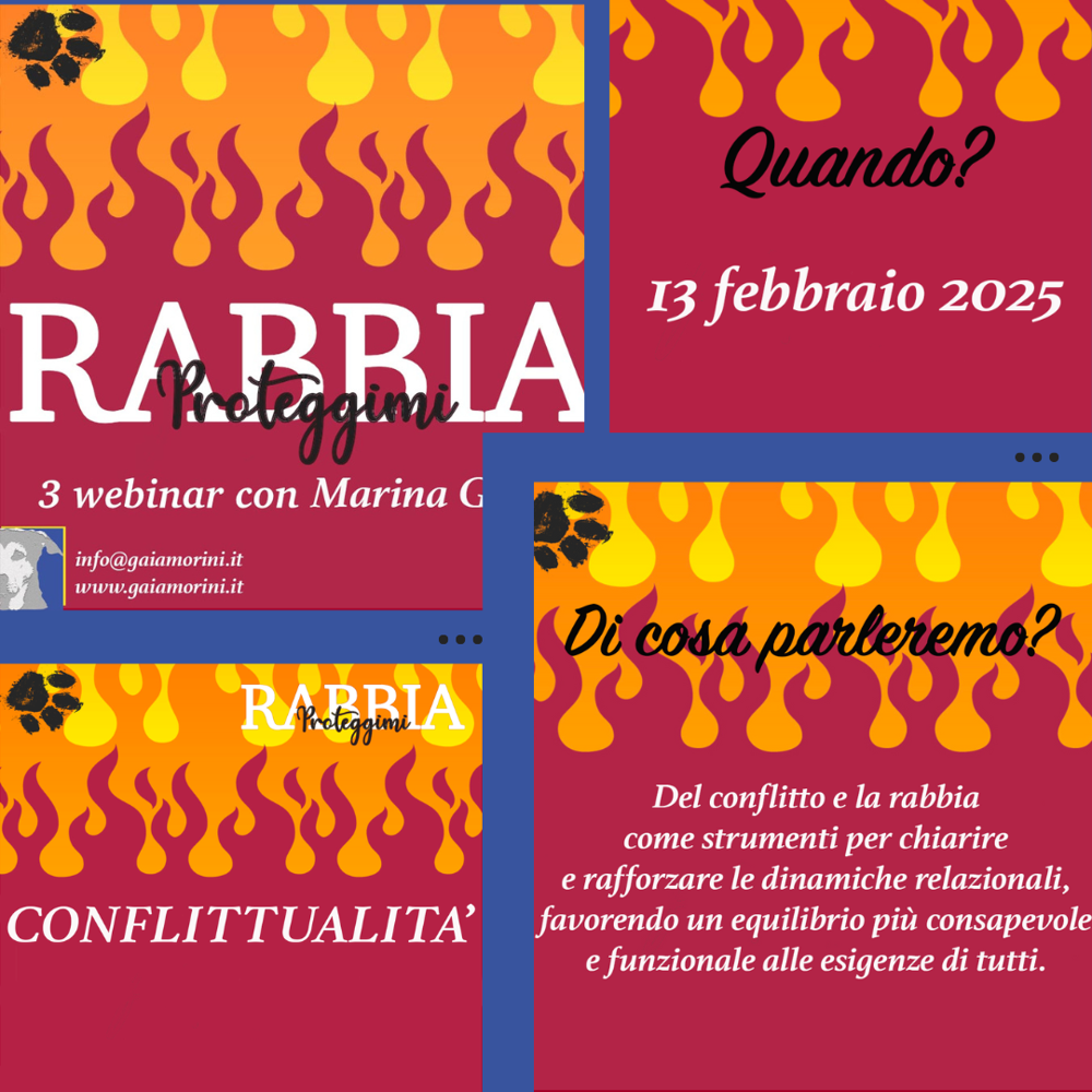 Immagine evento