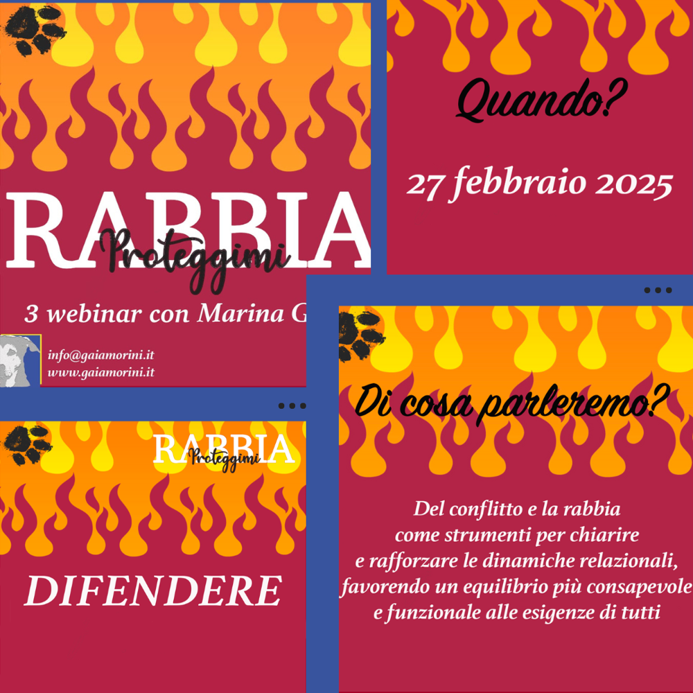 Immagine evento