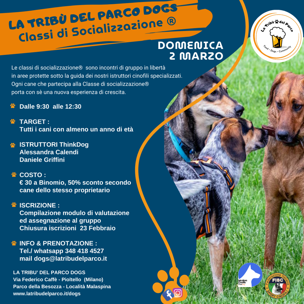 Immagine evento