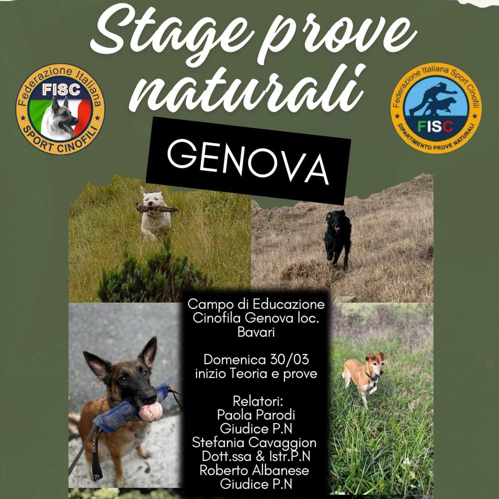 Immagine evento