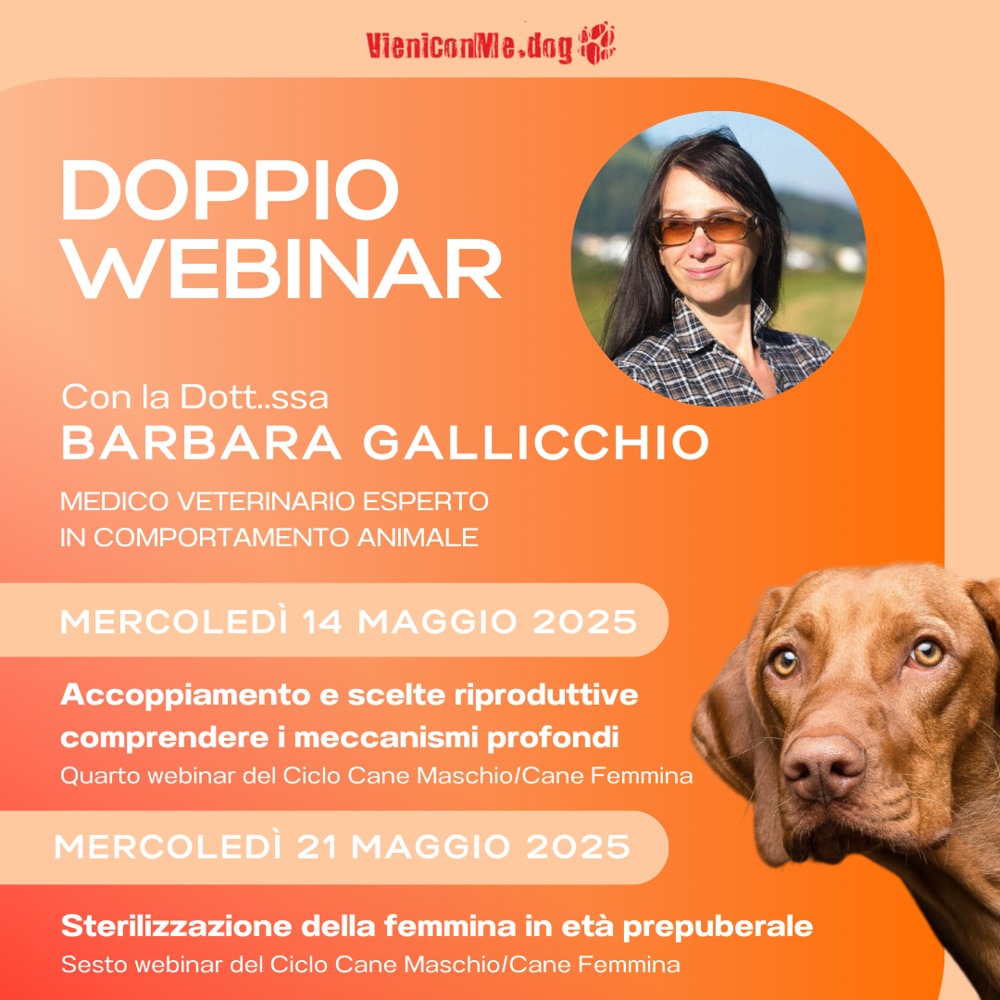 Immagine evento